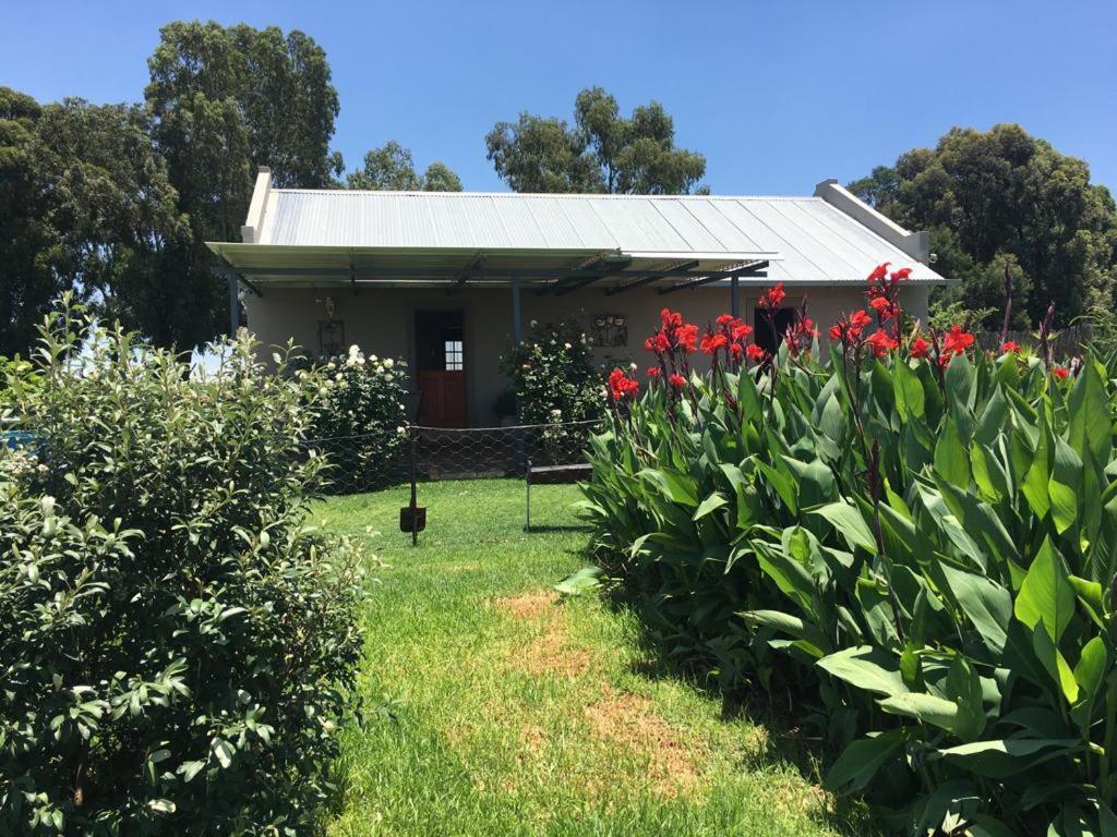 Sanctuary Life Guest Farm Hotel Magaliesburg Exterior photo