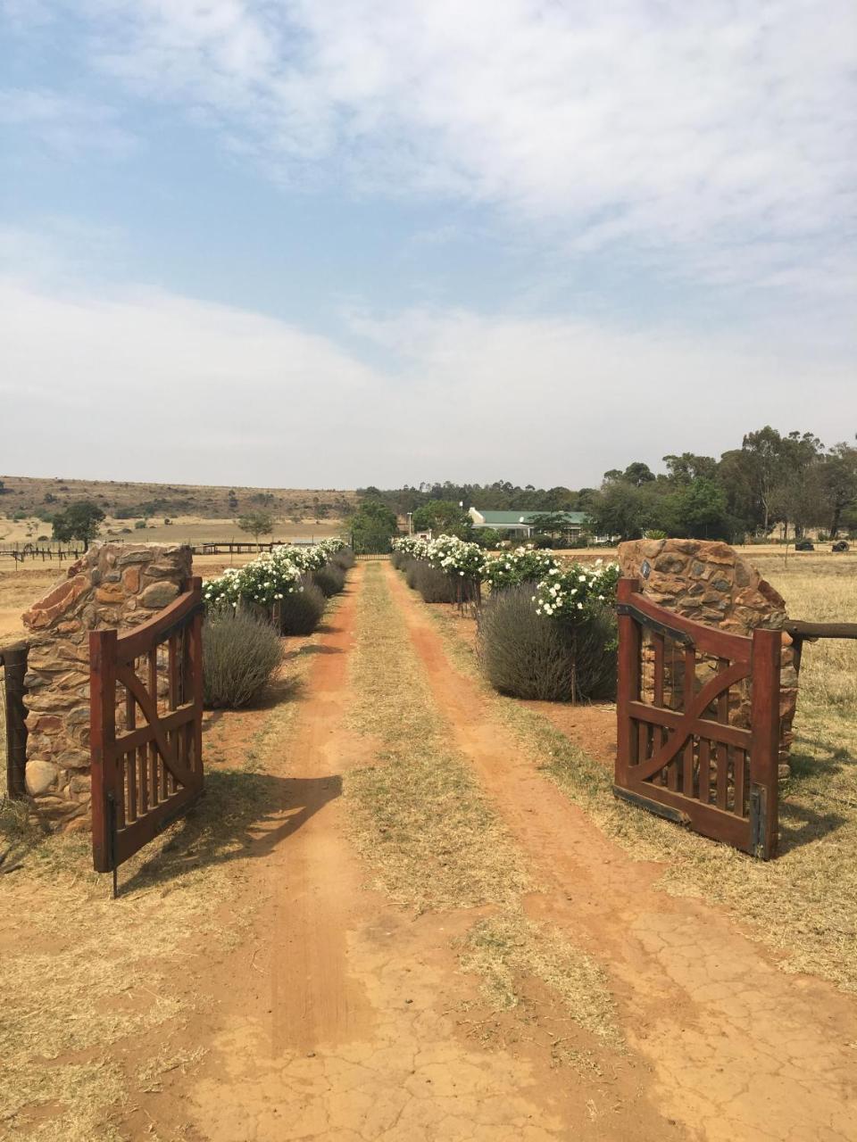 Sanctuary Life Guest Farm Hotel Magaliesburg Exterior photo
